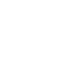 SafeBLAST logo